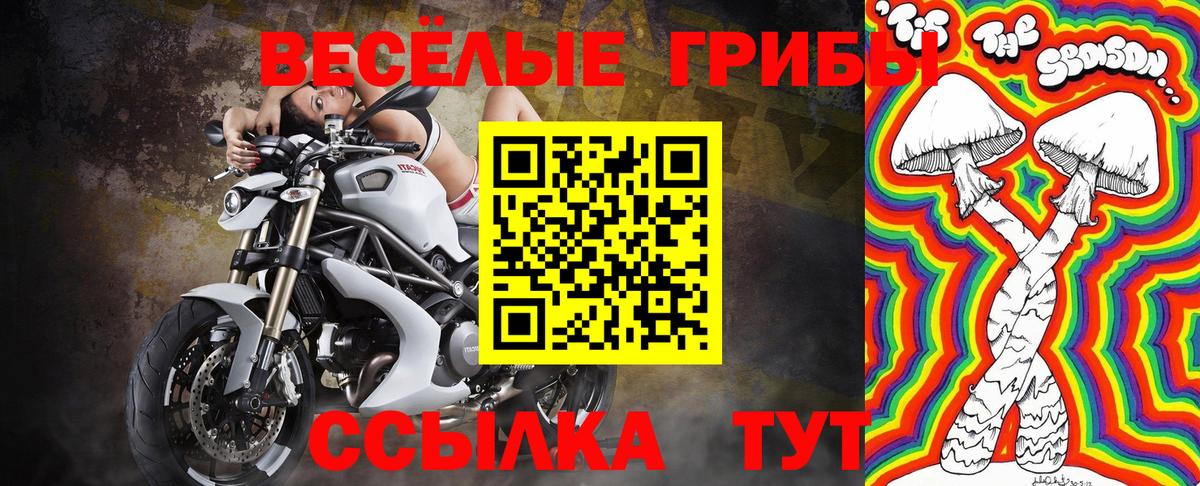Галлюциногенные грибы мухоморы Чита